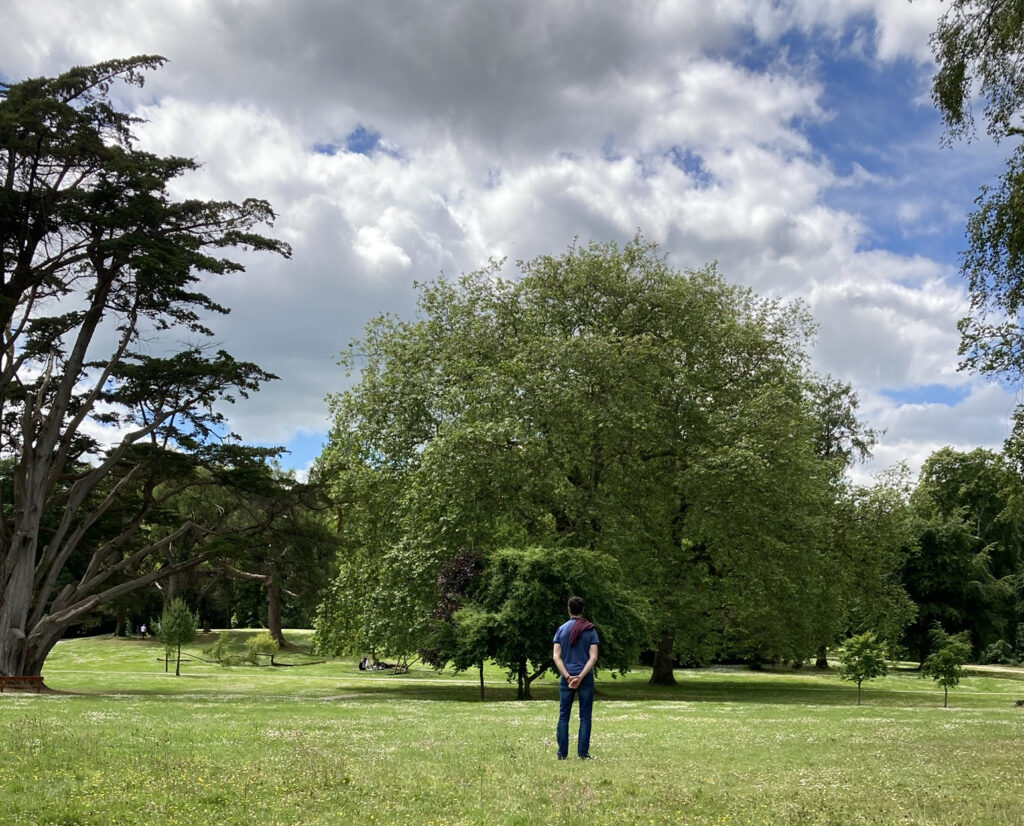 Image of a man standing looking at nature.